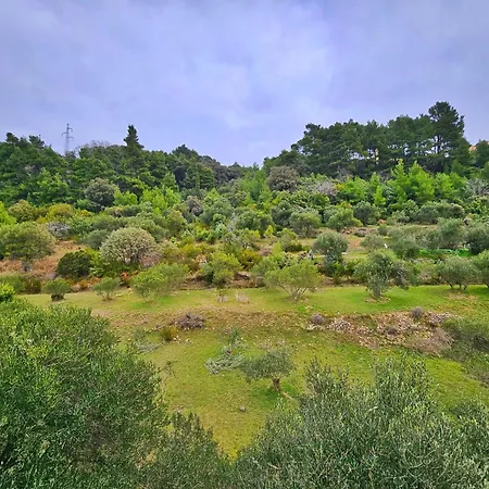 Daire Mirta Rab Town